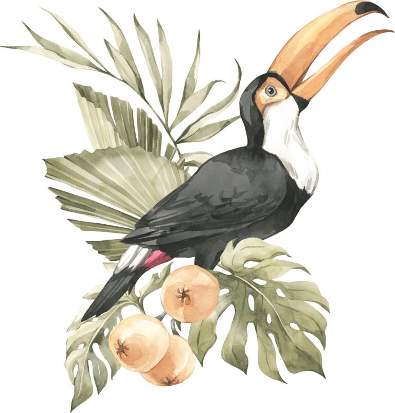 vision mission values meaningful experience Graphic bird and foliage