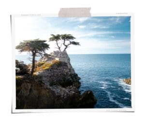 Big Sur Road Trip Lone Pine Monterey